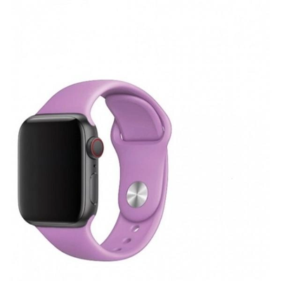 Силіконовий ремінець для Apple Watch 38/40/41 мм Blueberry 212-00605 фото