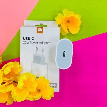 Мережевий зарядний пристрій WUW C125 USB-C port 3A PD 20W Білий 209-00012 фото