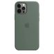 Силіконовий чохол для iPhone 12 Pro Max Pine Green 208-00459 фото