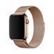 Міланська петля для Apple Watch 38/40/41 мм Золотий 212-00005 фото