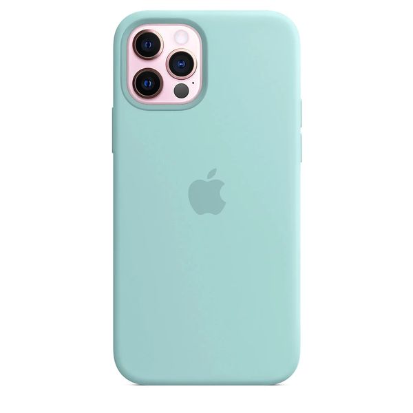 Силиконовый чехол для iPhone 12/12 Pro Turqouise 208-00383 фото