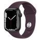 Ремінець Hoco WA01 Flexible series Apple watch (38/40/41mm) Crimson Cherry 212-01296 фото