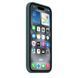Чехол Silicone Full Case with MagSafe для iPhone 16 Pacific Green 656-01250 фото 2