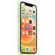Чохол Silicone Case Full Protective для Apple iPhone 13 mini (5.4") Pistachio 208-05916 фото 3