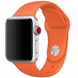 Силіконовий ремінець для Apple Watch 38/40/41 мм Orange 212-00622 фото