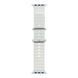 Ремешок Ocean Band для Apple Watch 38/40/41mm White 212-01887 фото