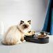 Годівниця PETKIT Fresh Nano Metal 15° Adjustable Cat Feeding Bowl (P5201) 656-00005 фото 7