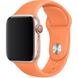 Силиконовый ремешок для Apple Watch 38/40/41 мм Papaya 212-00623 фото