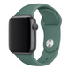 Силіконовий ремінець для Apple Watch 38/40/41 мм Pine Green 212-00625 фото