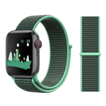 Нейлоновый ремешок для Apple Watch 42/44/45/49 mm Spearmint 212-00061 фото