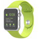 Силиконовый ремешок для Apple Watch 38/40/41 мм Shiny Green 212-00633 фото