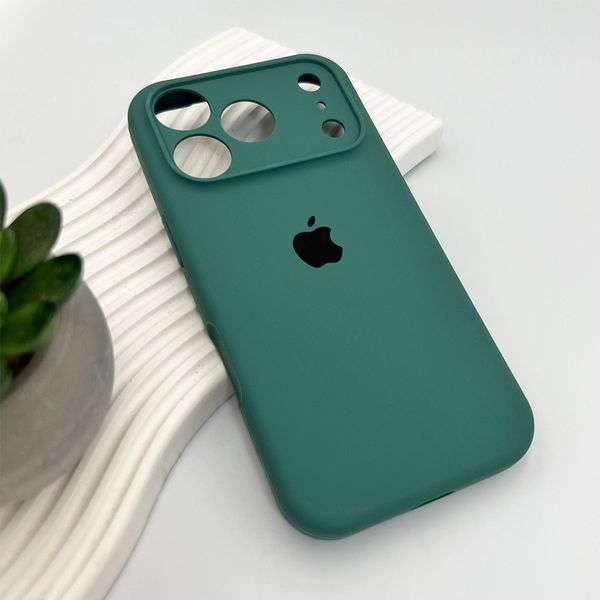 Силіконовий чохол з закритою камерою для iPhone 17 Pro Max Pine Green 666-04337 фото