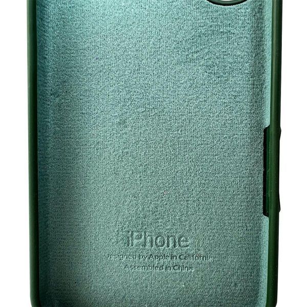 Силіконовий чохол для iPhone 16 Atrovirens 666-01160 фото