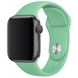 Силиконовый ремешок для Apple Watch 38/40/41 мм Spearmint 212-00644 фото