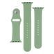 Ремінець для Apple Watch Band Silicone Two-Piece 42/44/45/49 mm Mint 212-02160 фото
