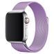 Міланська петля для Apple Watch 38/40/41 мм Бузковий 212-00003 фото
